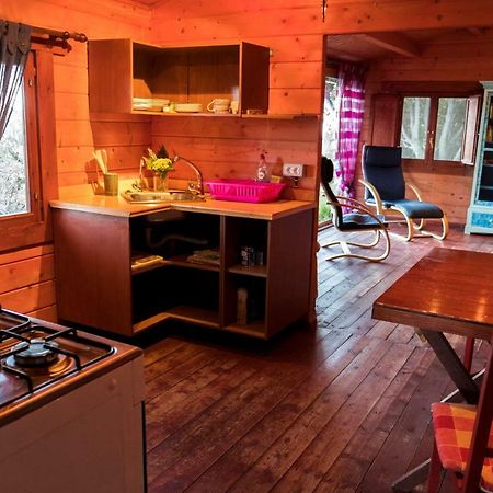 Finca Pura Vida Blockhaus Mazo Exteriér fotografie